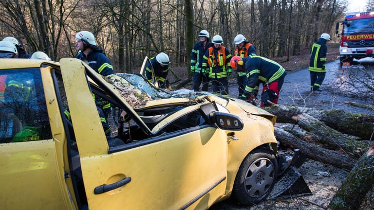 Nachdem ein Baum auf ein vorbeifahrendes Auto gestürzt war sichern Einsatzkräfte der Feuerwehr die Unfallstelle in Eppstein, Hessen, ab. Der Fahrer musste von den Einsatzkräften aus dem völlig zerstörten Auto geborgen werden.