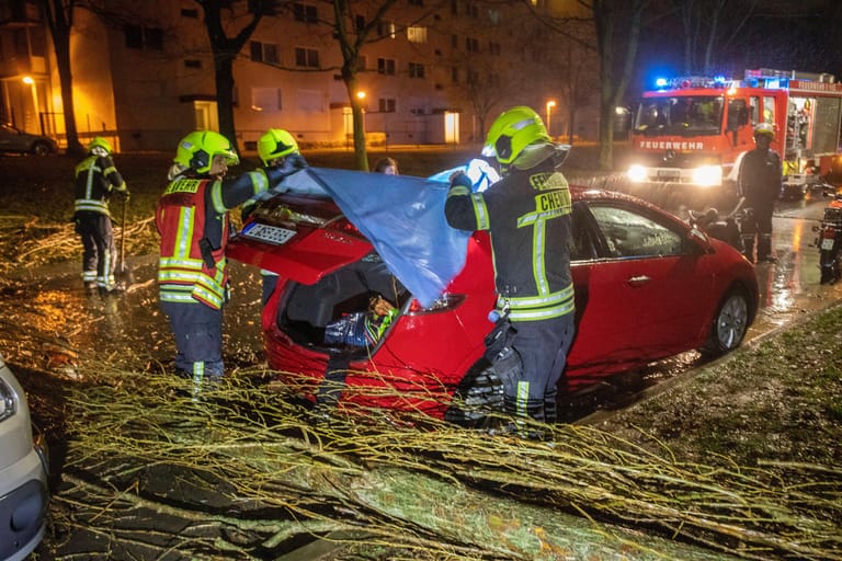 In Chemnitz krachte ein Baum direkt auf einen Wagen und zerstörte die Heckscheibe. Die Besitzerin war nicht im Auto und kam mit dem Schrecken davon.