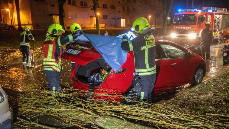 In Chemnitz krachte ein Baum direkt auf einen Wagen und zerstörte die Heckscheibe. Die Besitzerin war nicht im Auto und kam mit dem Schrecken davon.