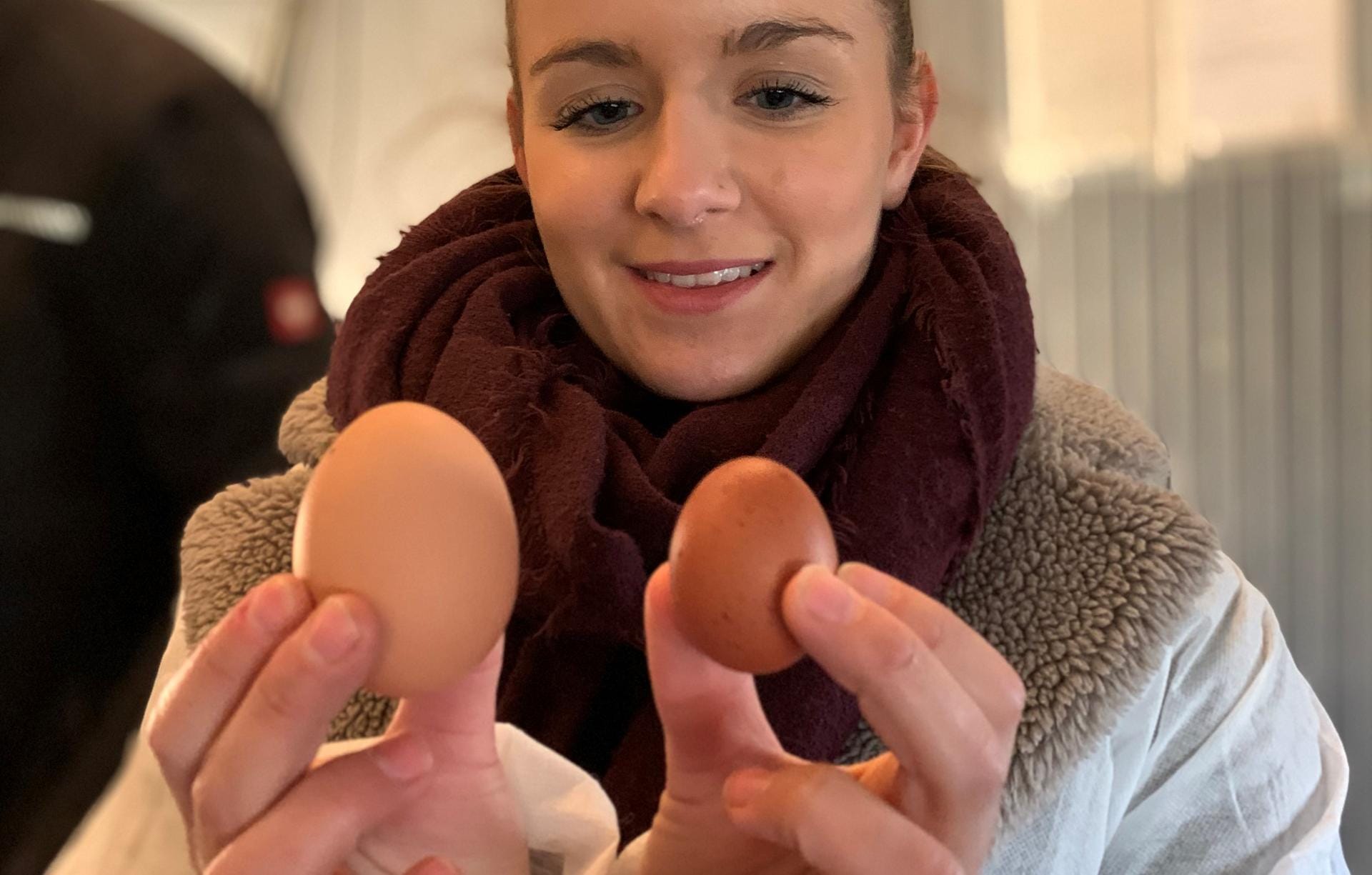 Eier sammeln: Nicht jedes Ei ist gleich. Verformte Eier werden per Hand aussortiert, unterschiedlich große Eier werden von der Maschine in die richtige Schachtel einsortiert.