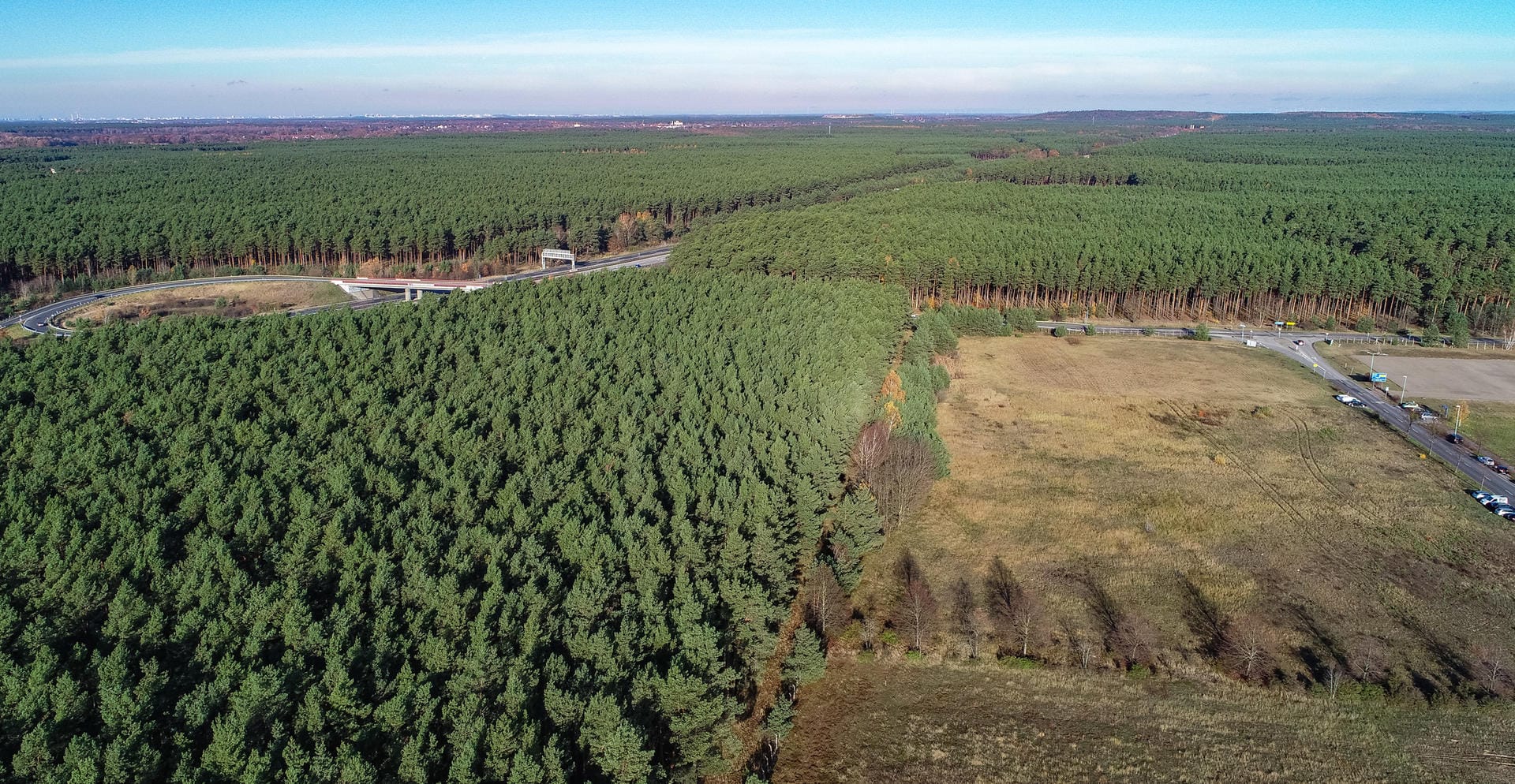 Ein Blick auf das betroffene Waldstück vor Beginn der Fällarbeiten: Die Bäume hinter dem unbewachsenen Feld sollen für die Fabrik weichen.