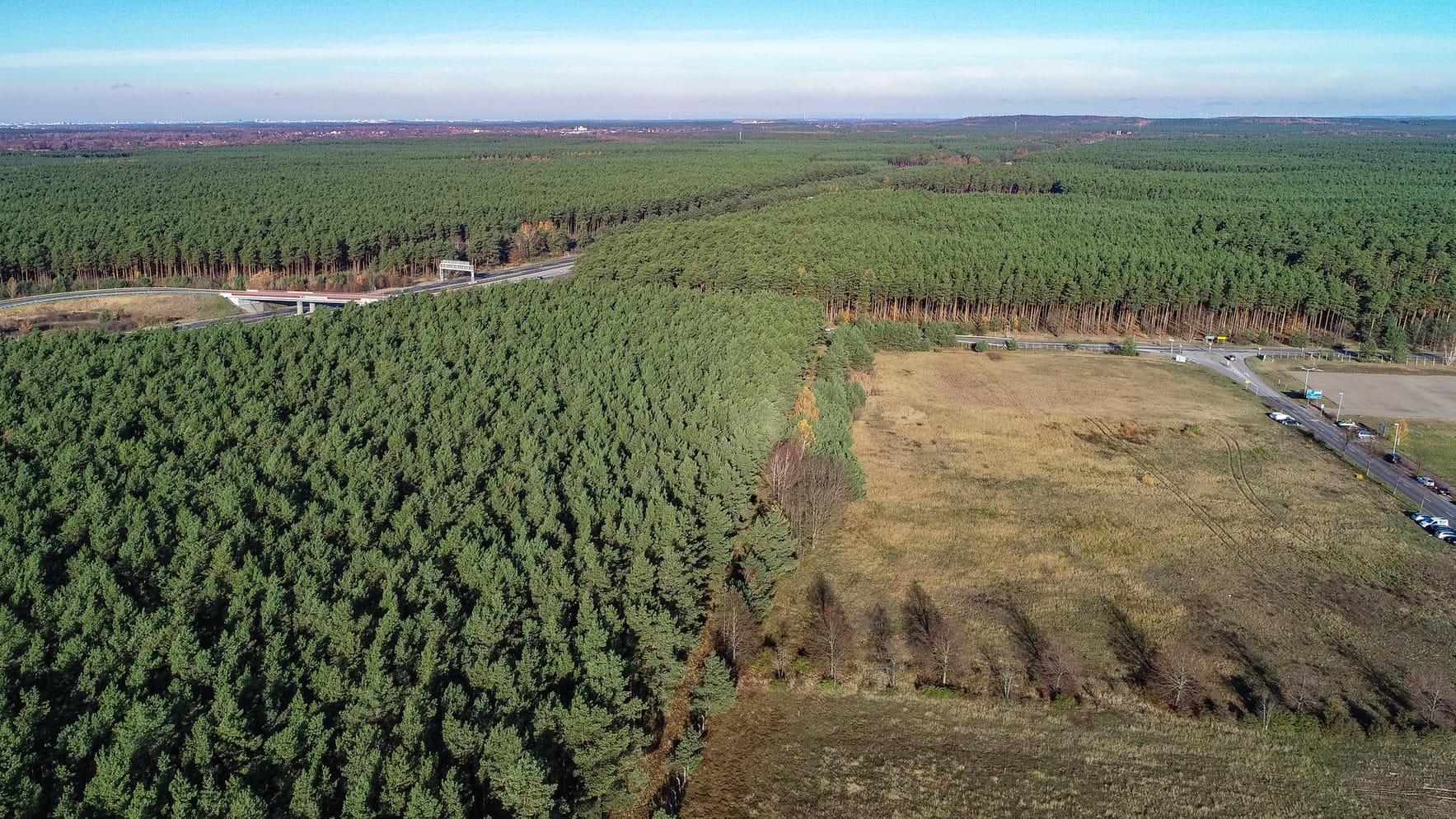 Ein Blick auf das betroffene Waldstück vor Beginn der Fällarbeiten: Die Bäume hinter dem unbewachsenen Feld sollen für die Fabrik weichen.