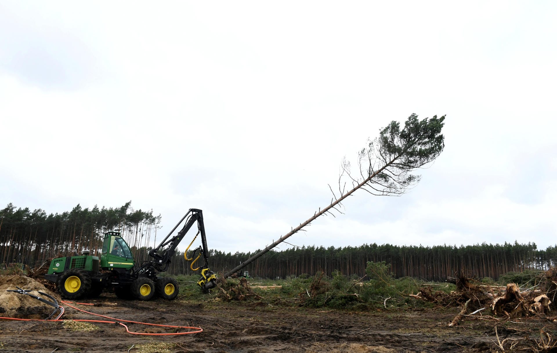 Nachdem das Oberverwaltungsgericht Berlin-Brandenburg in schnellem Tempo den ursprünglichen Rodungsstopp aufgehoben hat, rücken die Baumfäller am 21. Februar erneut an und nehmen die Arbeit wieder auf.