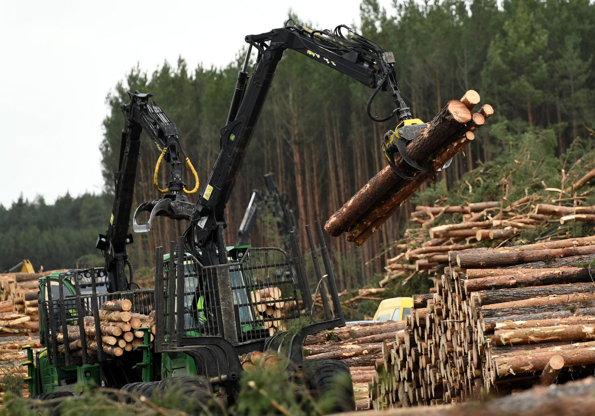 Doch die Baumfällarbeiten stoßen auf Widerstand: Am 17. Februar erwirken zwei Umweltverbände gerichtlich einen Rodungsstopp – die Arbeiten müssen kurzfristig eingestellt werden.