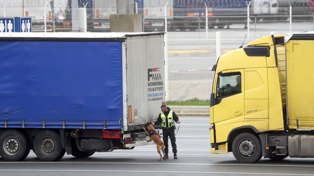 Der Grenzübertritt wird langwieriger: Ein Spürhund durchsucht die wartenden Lastwagen im Hafen von Calais in Frankreich, bevor sie auf die Fähren nach Großbritannien fahren.