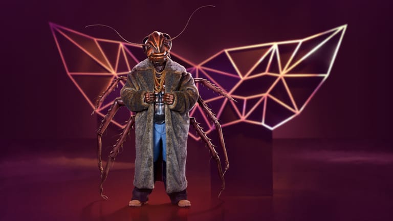 "The Masked Singer": Die Kakerlake treibt sich gerne in dunklen Ecken herum und ist immer auf der Suche nach dem besten Deal. Für das Kostüm wurde ein extra Brustpanzer angefertigt.