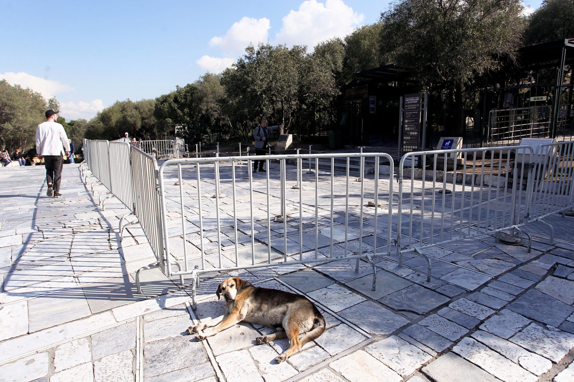 Und vor der Akropolis liegt nur ein einsamer Hund. Die Menschenmassen bleiben an der Touristenattraktion aus.