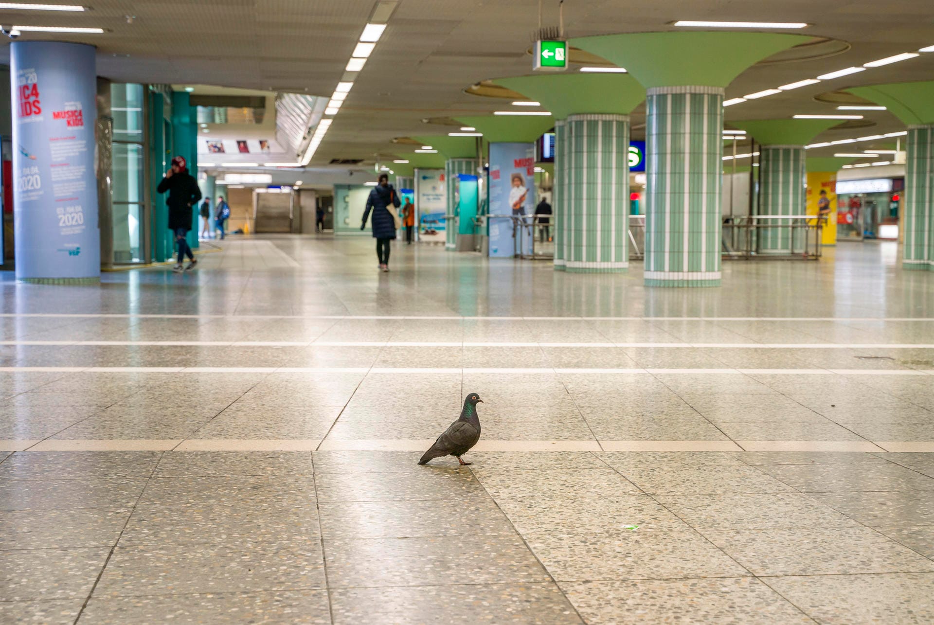 Eine Taube spaziert über die nahezu verwaiste B-Ebene an der Hauptwache in der Innenstadt: Dort herrscht normalerweiser reger Verkehr.