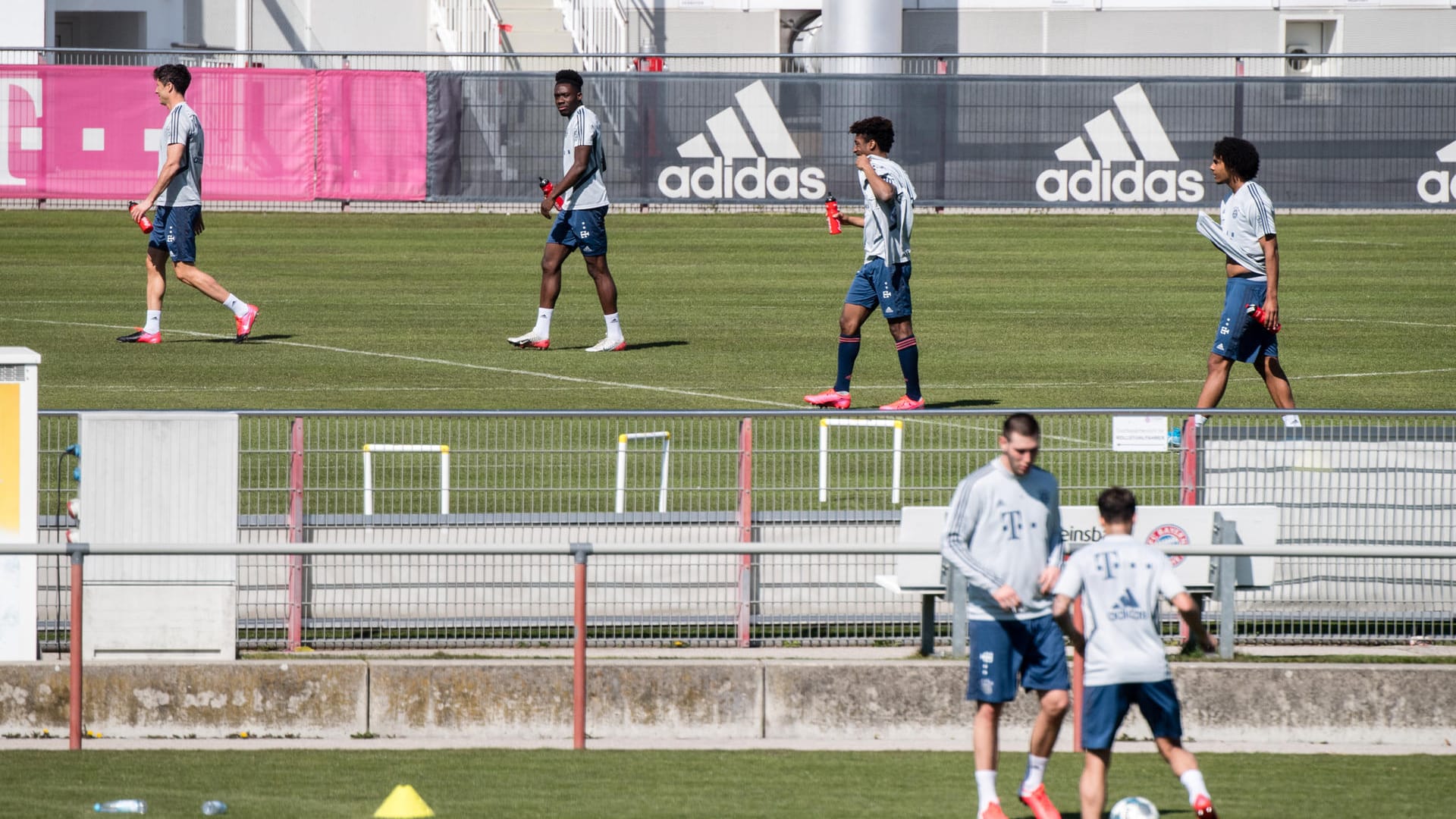 Robert Lewandowski , Alphonso Davies, Kingsley Coman und Joshua Zirkzee (von links nach rechts) vom FC Bayern München trainieren an der Säbener Straße. Im Vordergrund passen sich Nationalspieler Niklas Süle und Philippe Coutinho den Ball zu.