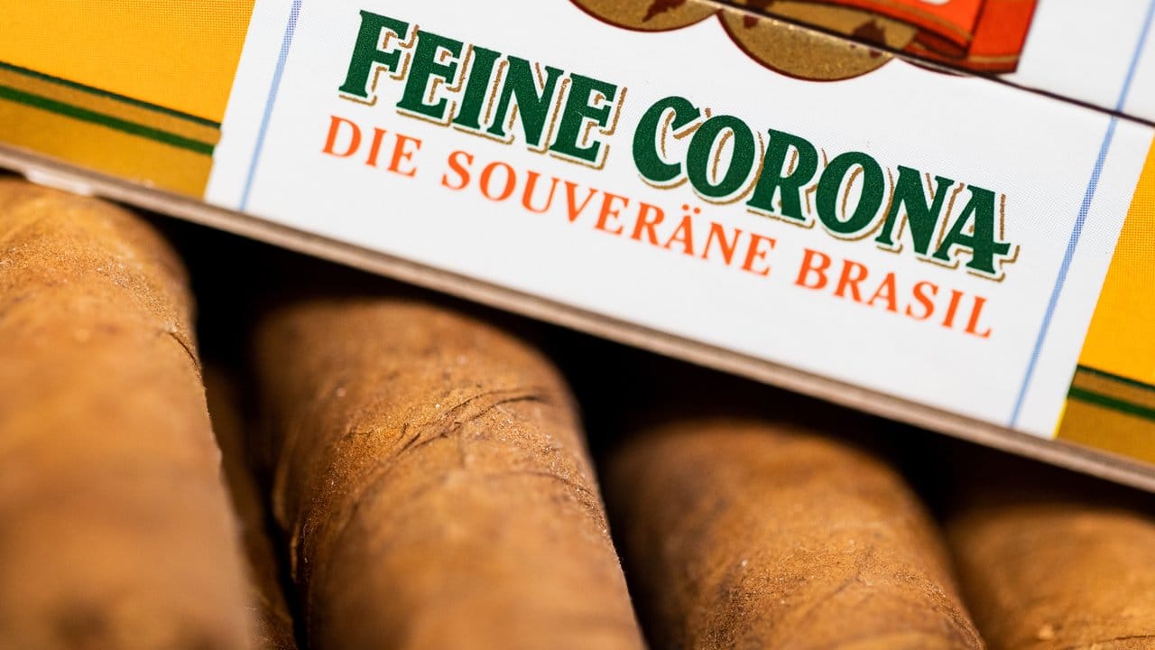 Zigarren im Format "Feine Corona" liegen in einer Schachtel in einem Tabakgeschäft.