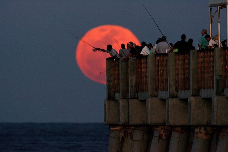 Supermond in Florida, 19. März 2011: Durch die Nähe des Mondes kann es zu Springfluten und maximalen Gezeitenkräften kommen.