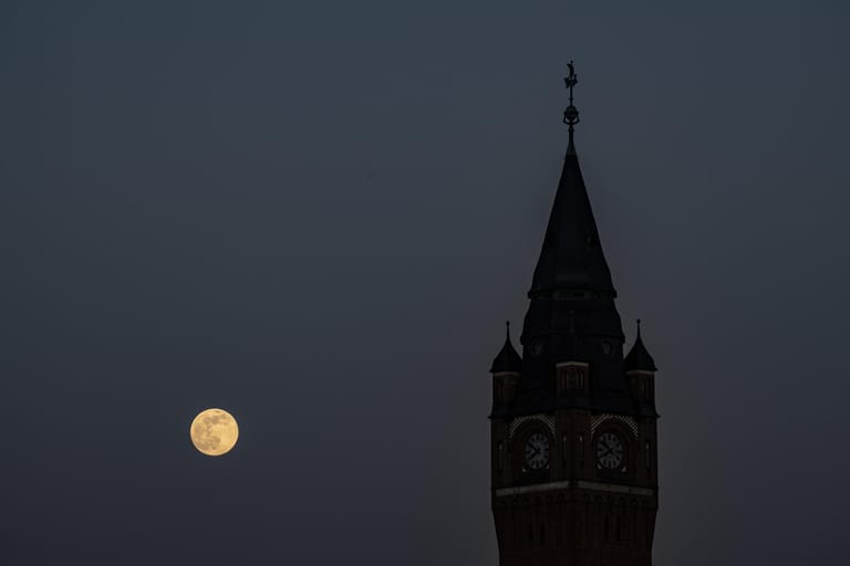 Berlin: Im Vordergrund ist der Turm des Rathauses in Köpenick zu sehen.