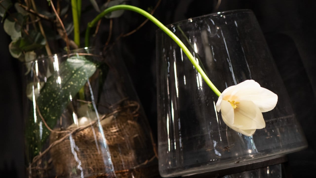 Das natürliche Wachstum nutzen: Tulpen dürfen vor dem Festtag gerne schon ein paar Tage in der Vase stehen, so dass ihre Stiele noch ein paar Zentimeter wachsen und sich gen Boden biegen.