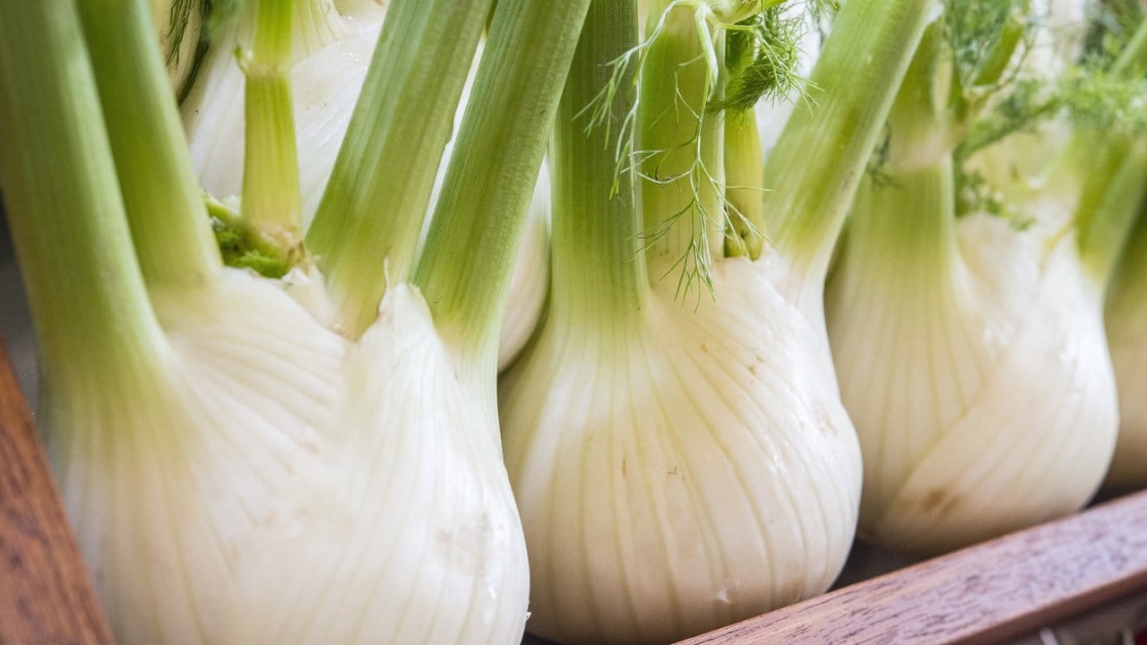 Fenchel bietet eine große Palette an unterschiedlichen Aromen und lässt sich so in der Küche vielseitig einsetzen. Fenchel bietet eine große Palette an unterschiedlichen Aromen und lässt sich so in der Küche vielseitig einsetzen.