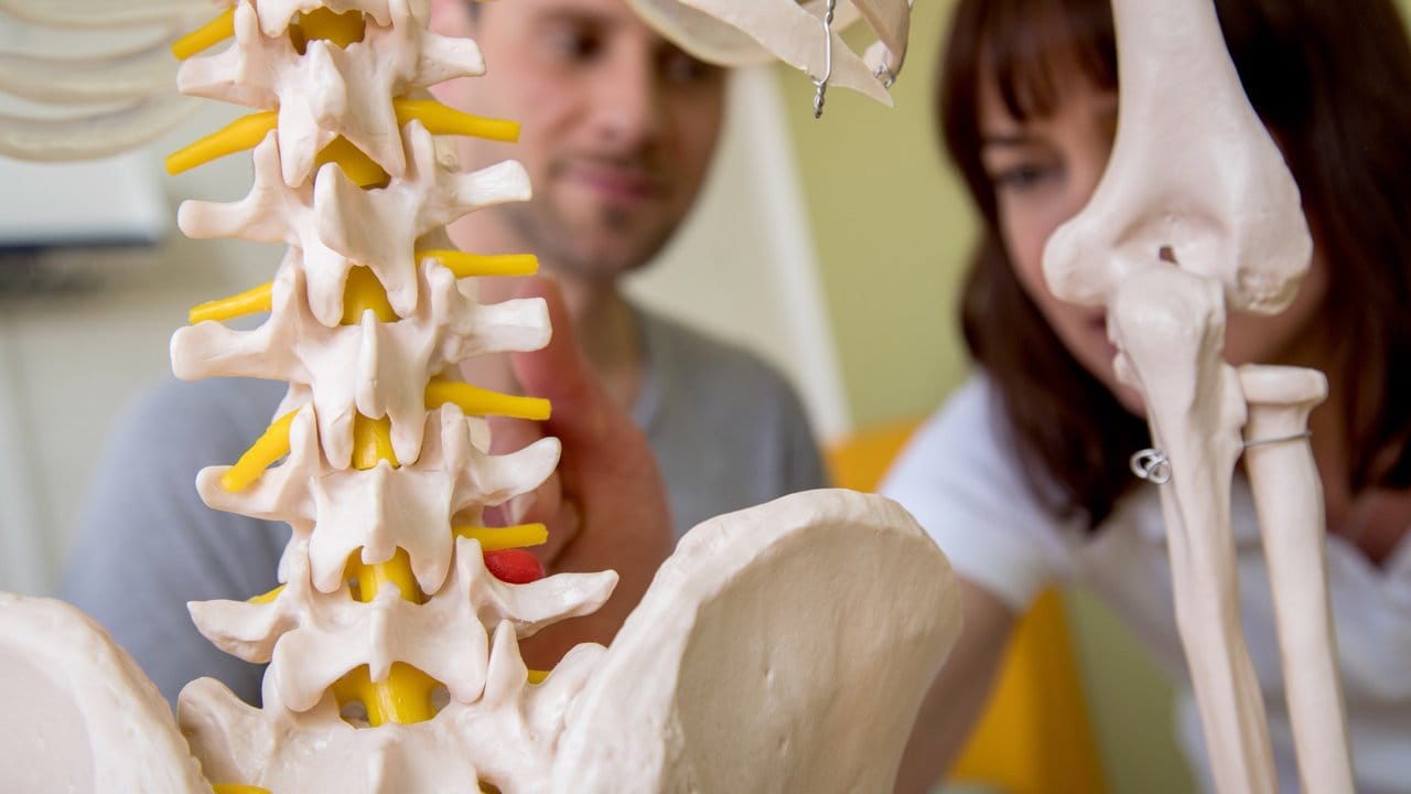 Knochen, Sehnen, Muskeln: Anatomie ist ein wichtiger Bestandteil der Ausbildungsinhalte für angehende Physiotherapeuten.
