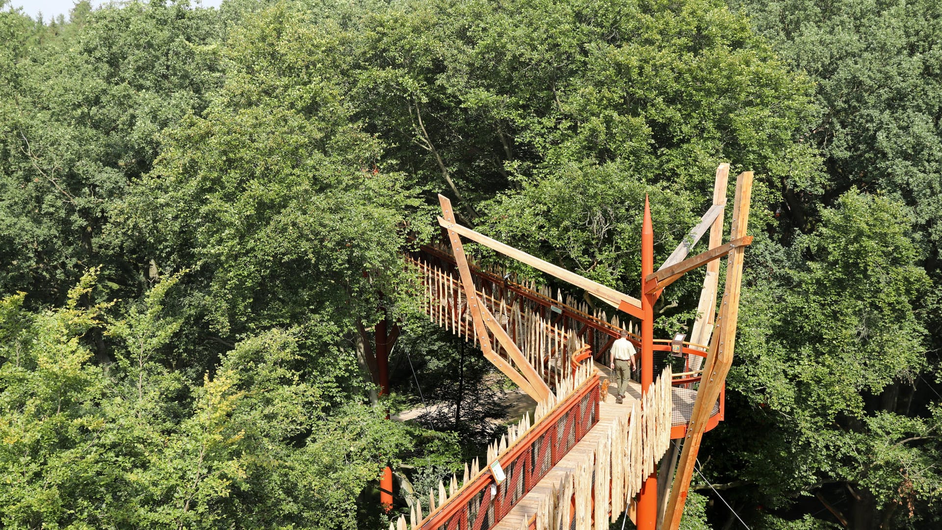 Blick in die Kronen der Bäume: Baumkronenpfad im Tierpark Ivenack in Mecklenburg-Vorpommern.