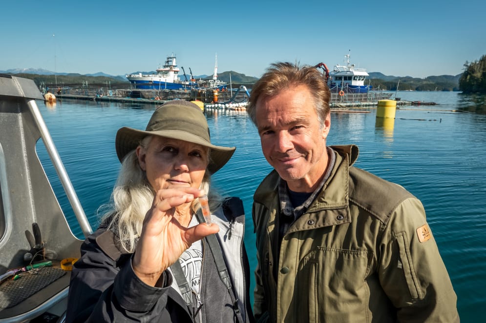 Zdf Zeigt Neue Folge Hannes Jaenicke Im Einsatz Für Den Oktopus - sdaxoqz