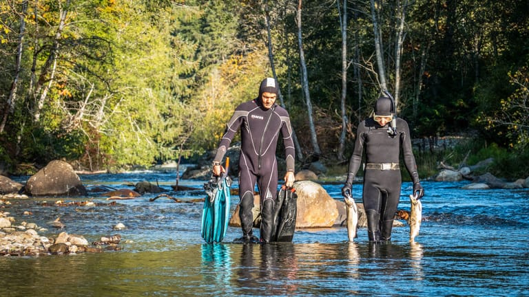 Bis zum Ort ihrer Geburt haben sie es nicht geschafft: Hannes Jaenicke findet verendete Lachse mit Unterwasserfilmer Tavish Campbell im Campbell River, Vancouver Island, Kanada.