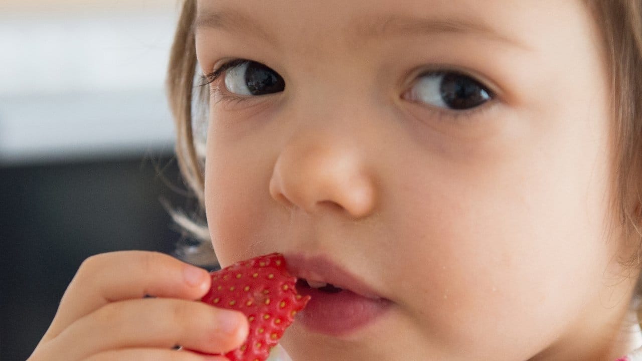 Für Kleinkinder sind Obstsorten mit wenig Zucker ideal - Erdbeeren zählen dazu.
