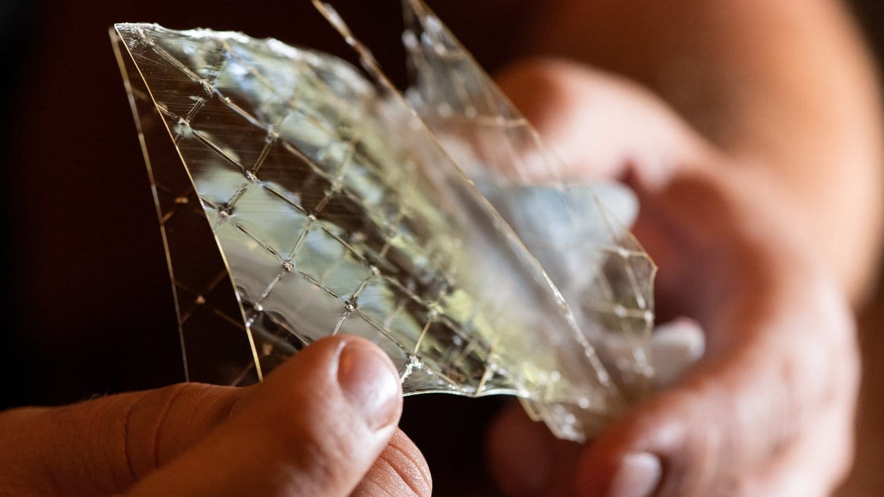 Gelatine gibt es entweder in Blattform oder auch gemahlen zu kaufen. Gelatine gibt es entweder in Blattform oder auch gemahlen zu kaufen.
