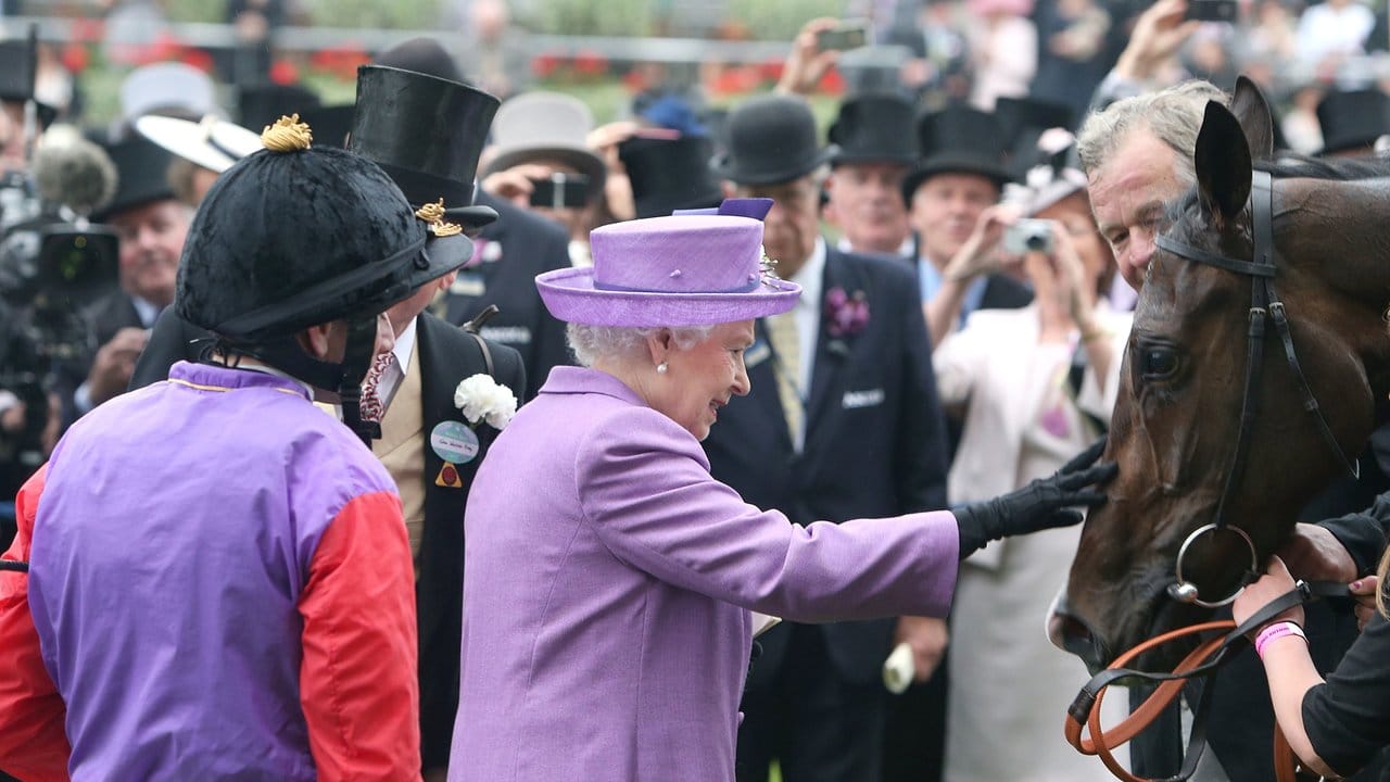 Auch Estimate wird von der Queen geschätzt. Auch Estimate wird von der Queen geschätzt.