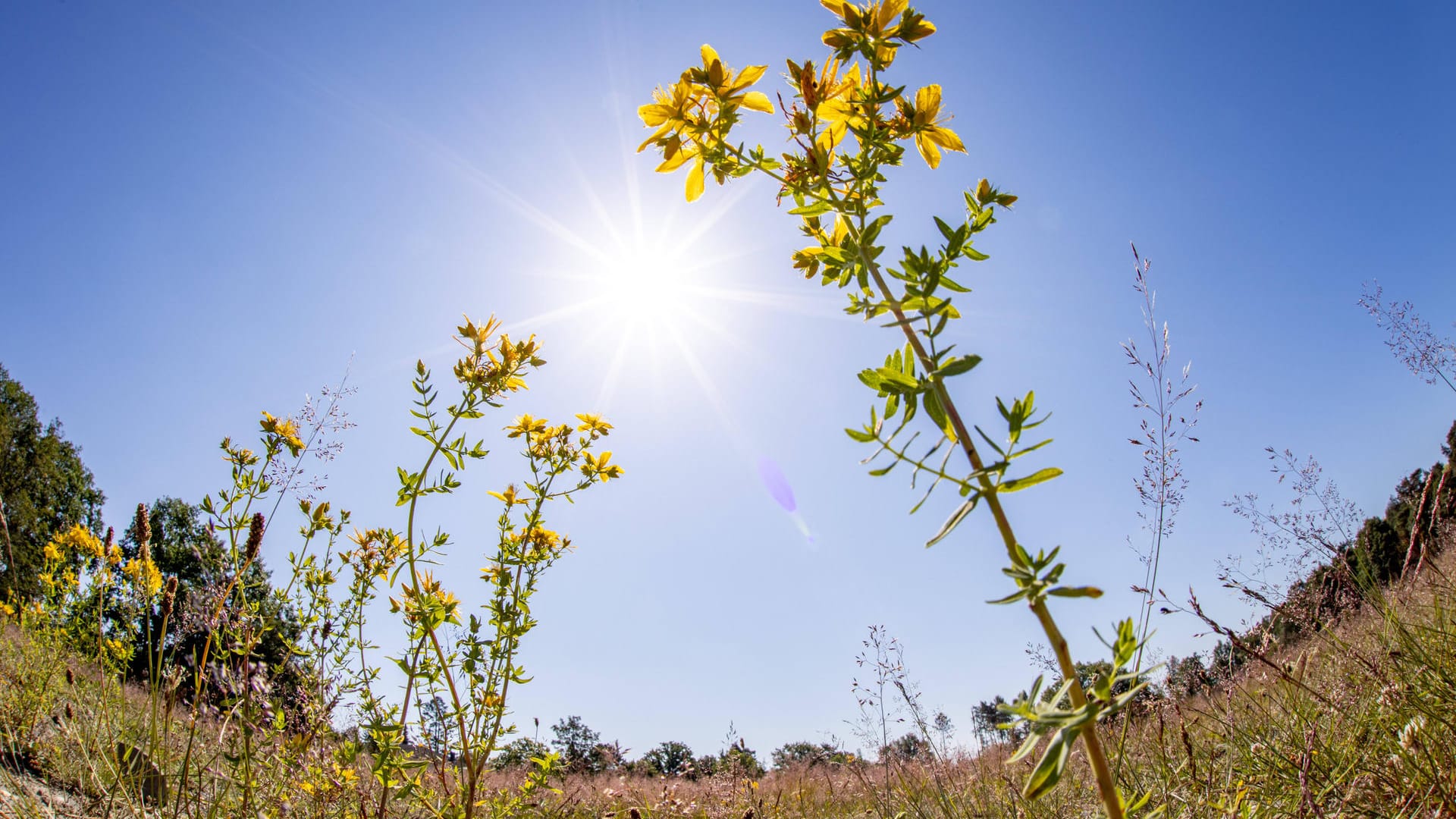 Die Wetteraussichten könnten kaum besser sein: Es wird sommerlich warm. Deutschlandweit wird der Samstag der heißeste Tag.