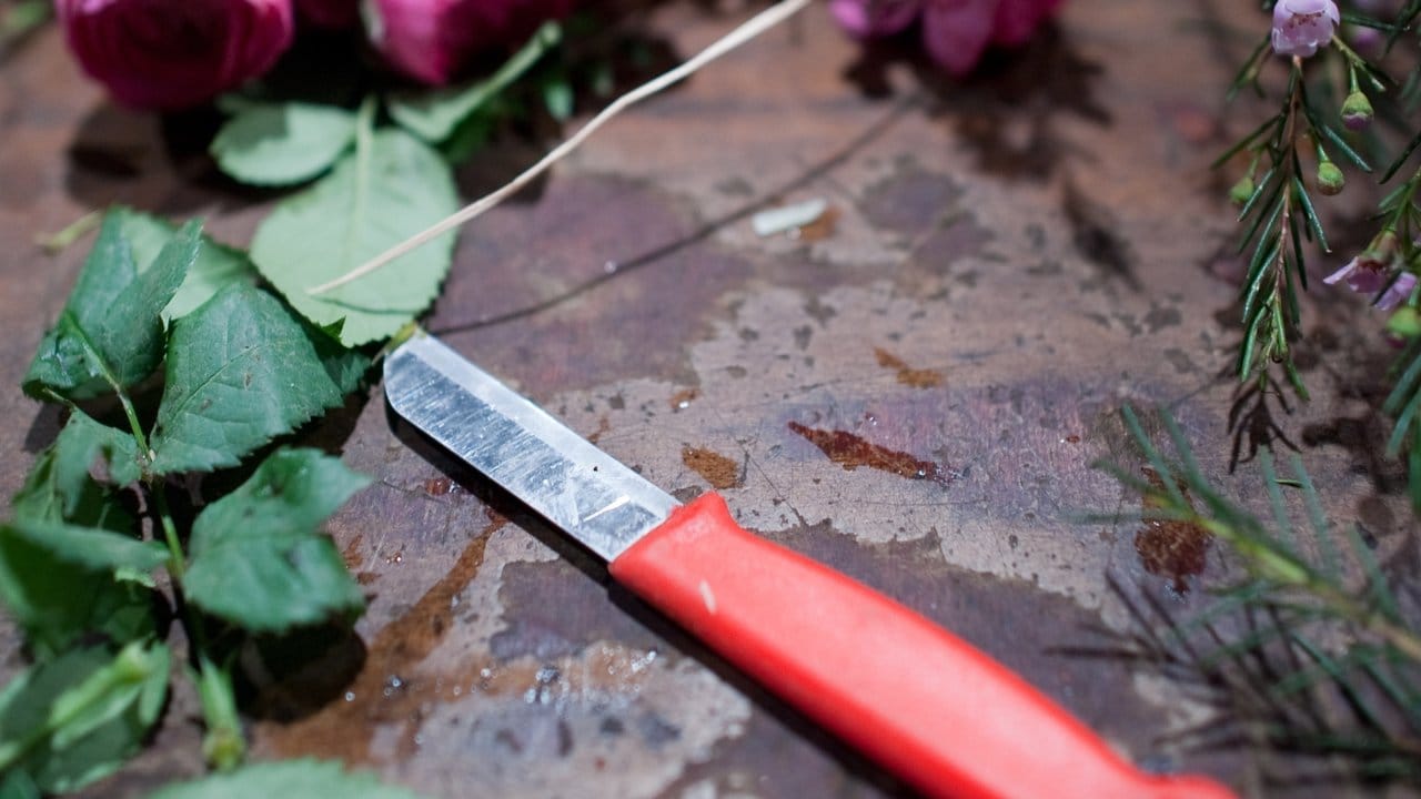 Damit der Strauß am Ende hübsch aussieht, entfernt man am besten die großen Blätter der Blumen. Damit der Strauß am Ende hübsch aussieht, entfernt man am besten die großen Blätter der Blumen.
