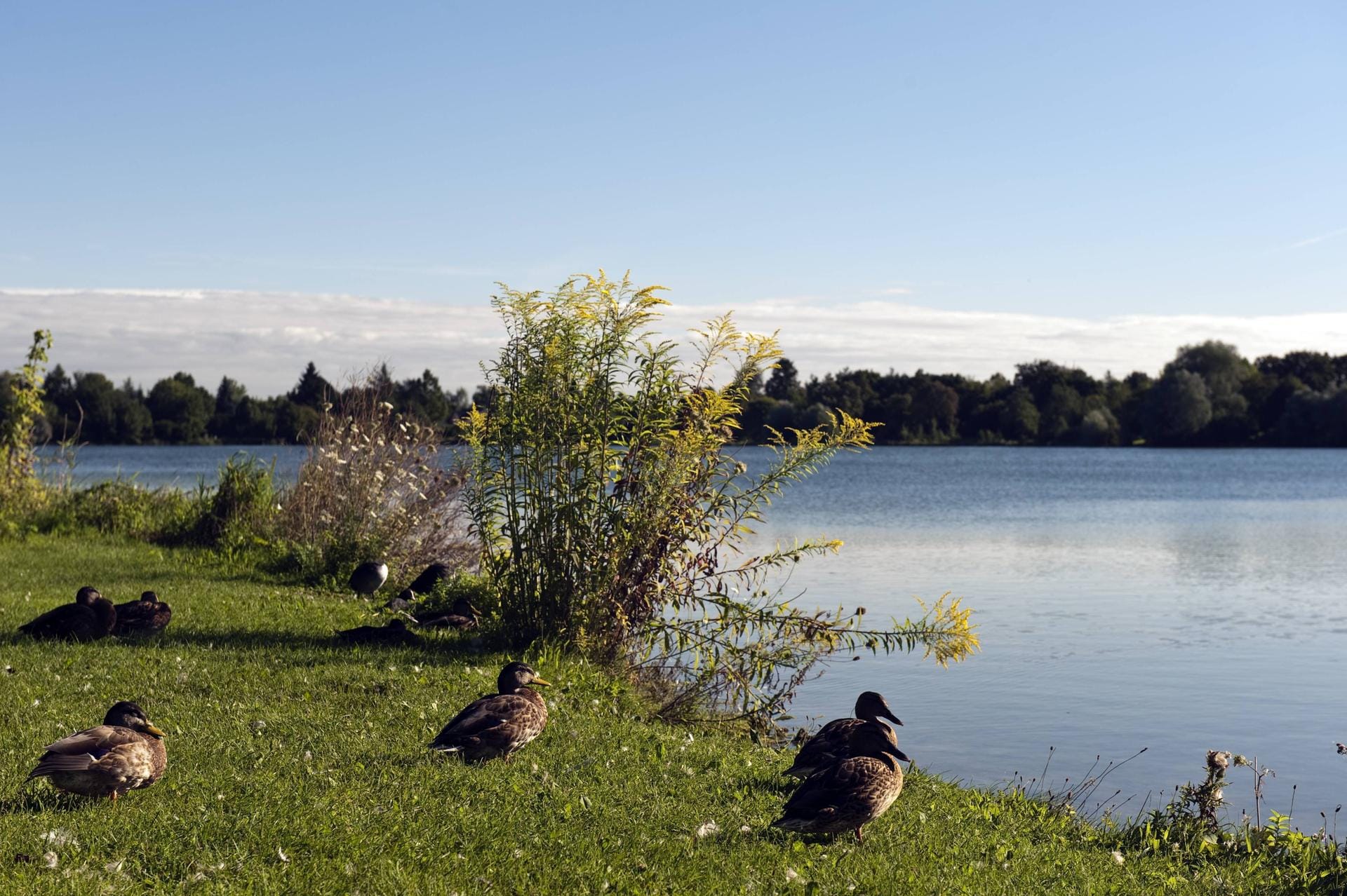 Feldmochinger See: Der Badesee ist einer der beliebtesten in München und bietet echtes Urlaubsfeeling.