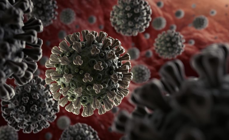 Coronavirus SARS-CoV-2: Der Erreger hat sich von China ausgehend weltweit verbreitet. Die Lungenerkrankung Covid-19 verläuft in den meisten Fällen mild, kann aber auch lebensbedrohlich werden. Rund 545.000 Menschen starben weltweit bislang daran (Stand: Juli 2020)