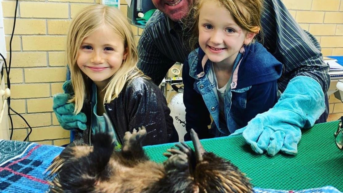 Wilde Patienten: Tierarzt Steven Van Mil mit einem australischen Igelbär, auch Echidna genannt.