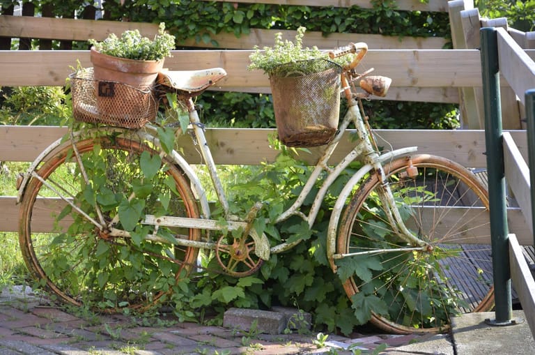 Bepflanztes Fahrrad: Ein ausgedienter Drahtesel wird so in Ihrem Garten zum absoluten Hingucker.
