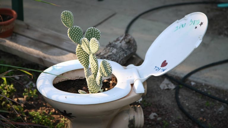 Kakteen-Klo: Freilich ist das eine sehr eigenwillige Gartendekoration. Doch weshalb sollte ein ausrangiertes WC keine zweite Chance erhalten?