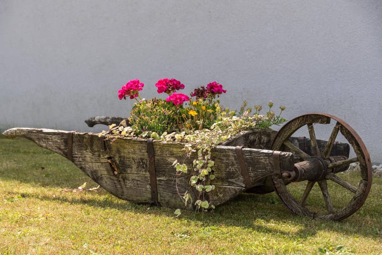 Historische Holzschubkarre: Manchmal findet sich auf einem alten Bauernhof noch solch ein Unikat. Einfach mit Blumen bepflanzen – fertig!