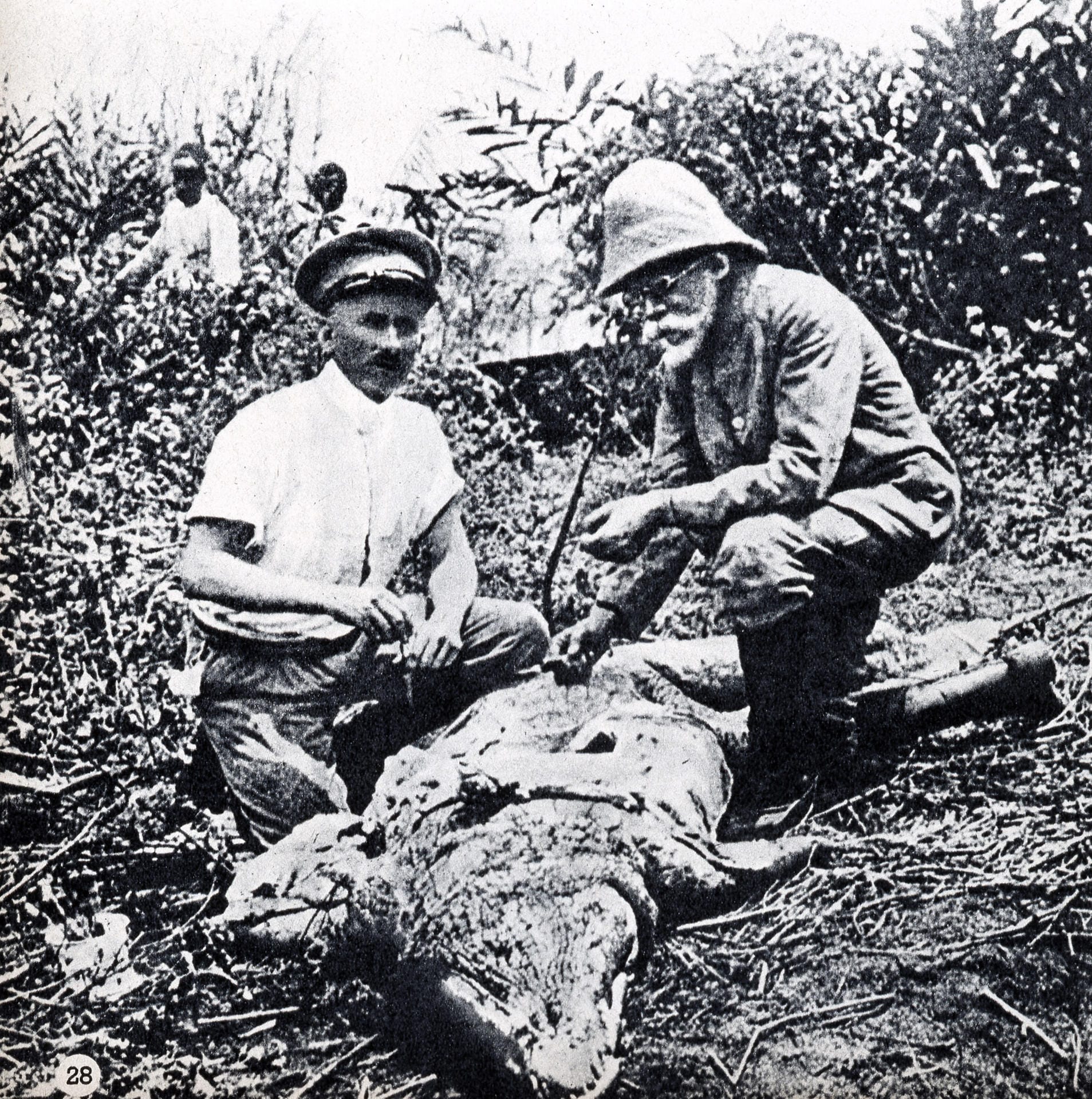 Robert Koch (1843-1910) auf einer Afrikareise beim Entnehmen von Krokodilblut: Koch revolutionierte die Medizin mit der Entdeckung verschiedener Erreger.