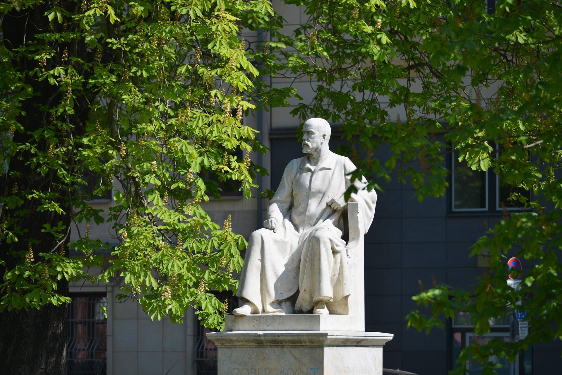 Überlebensgroßes Denkmal von Robert Koch in Berlin-Mitte: Der spätere Nobelpreisträger der Medizin soll in Afrika Ende des 19. Jahrhunderts umstrittene Menschenversuche durchgeführt haben.