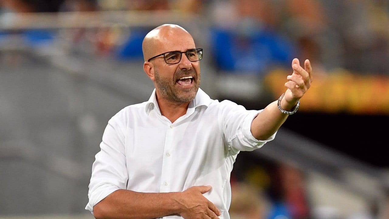 Leverkusen-Trainer Peter Bosz trieb seine Mannschaft von der Seitenlinie an. Leverkusen-Trainer Peter Bosz trieb seine Mannschaft von der Seitenlinie an.
