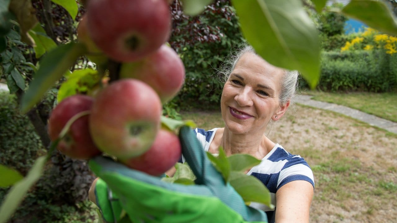 Die Unvorhersehbarkeit von Starkregen, Frost, Hagel und Trockenperioden macht Obstbauern heutzutage das Leben schwer.