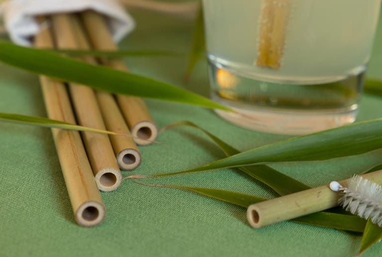 Auch Bambus ist eine Alternative zum Einwegplastik, das in naher Zukunft in der EU verboten sein wird.