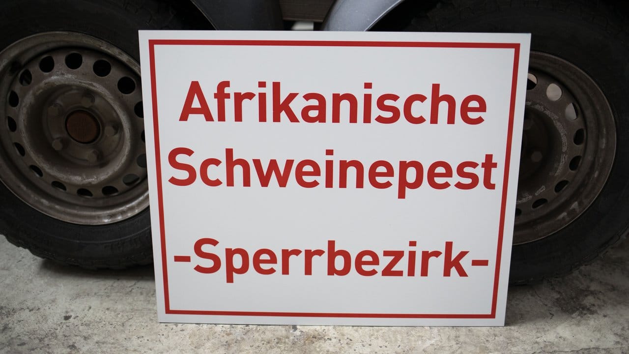 Ein Schild mit der Aufschrift "Afrikanische Schweinepest - Sperrbezirk" steht in einem Zentrallager für Tierseuchenbekämpfungsmaterial (Archiv).