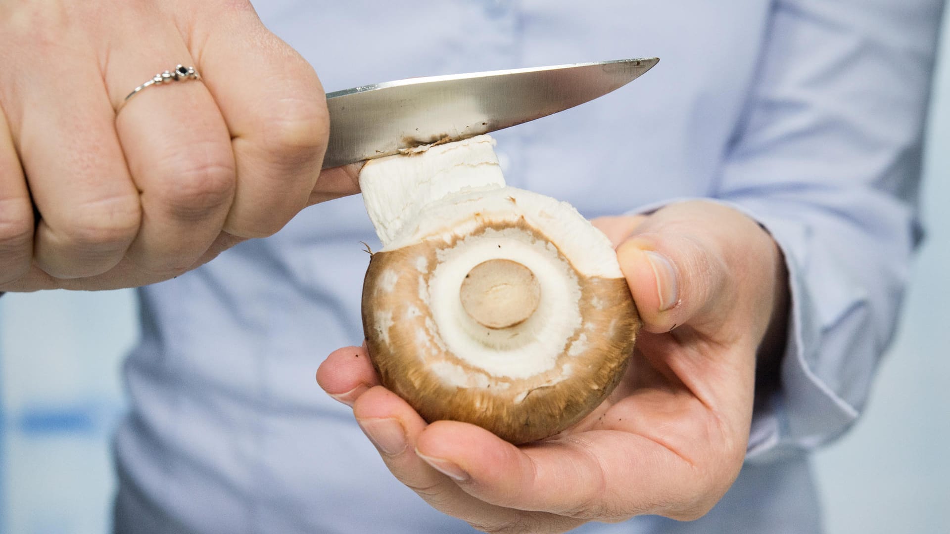 Besonders fein wird der Geschmack, wenn man die Haut des Champignons rundherum abzieht. Sie können die Haut aber auch mitessen.