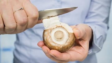 Besonders fein wird der Geschmack, wenn man die Haut des Champignons rundherum abzieht. Sie können die Haut aber auch mitessen.