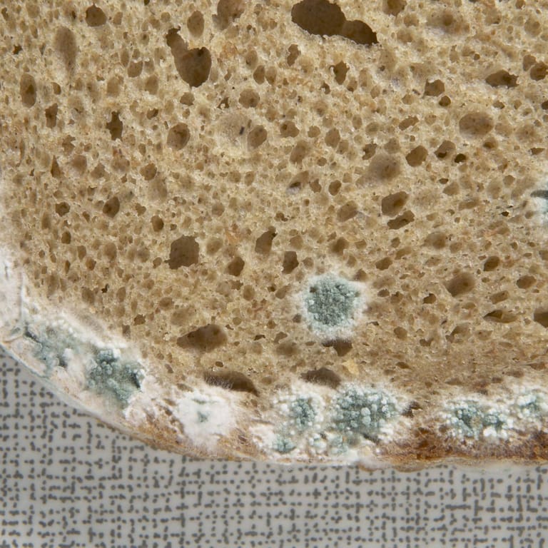 Schimmel: Zeigt sich Schimmel auf Brot, sollten Sie den Laib lieber entsorgen.