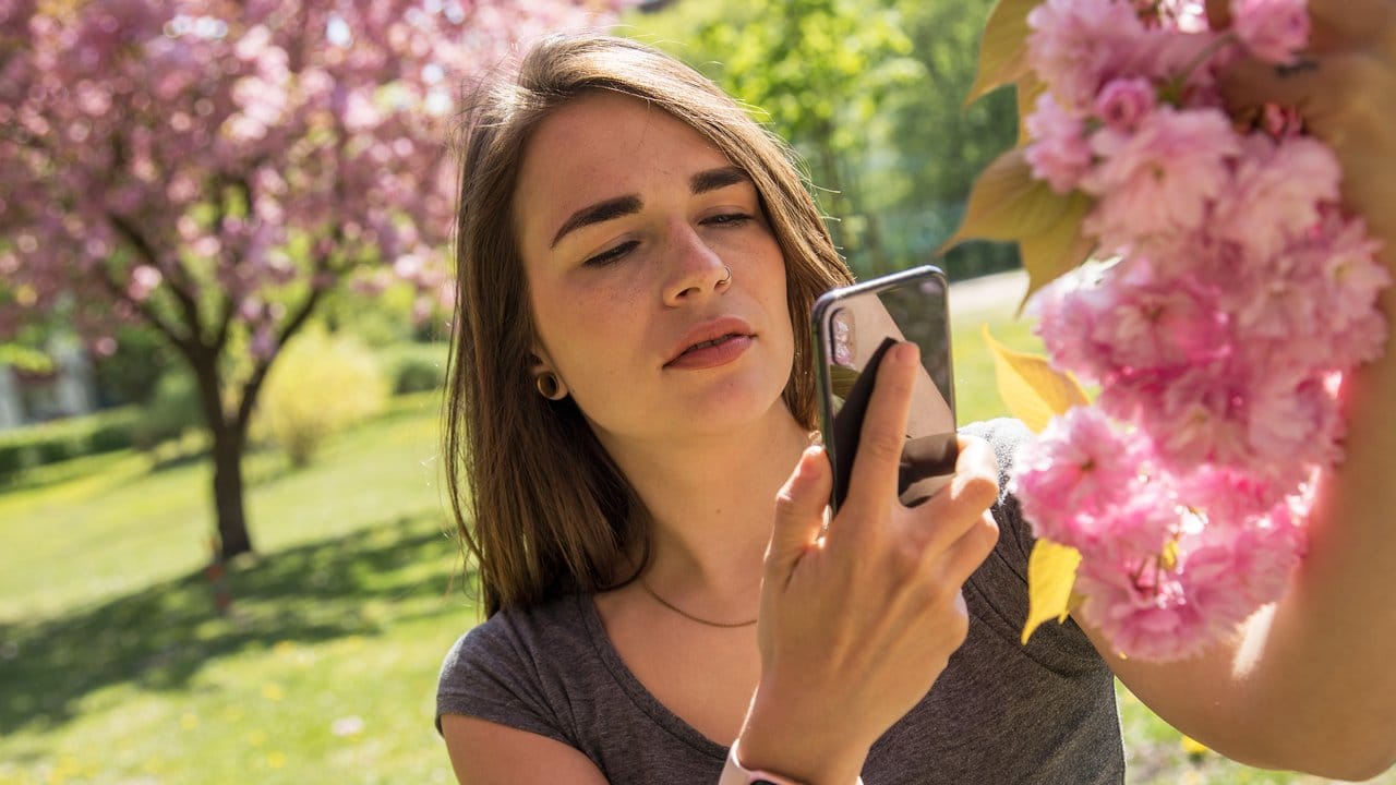 Wie heißt er gleich noch, der Baum? Mit dem Smartphone und der passenden App findet man es schnell heraus.