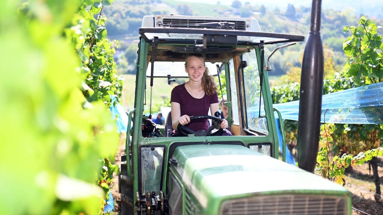 Auch Traktorfahren darf Julia Kiebler auf dem Weingut.