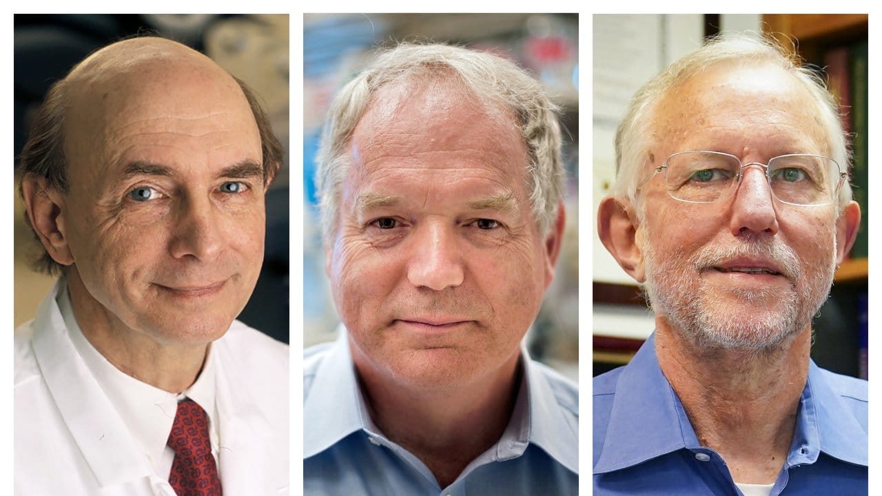Die Bildkombo zeigt Harvey J. Die Bildkombo zeigt Harvey J.