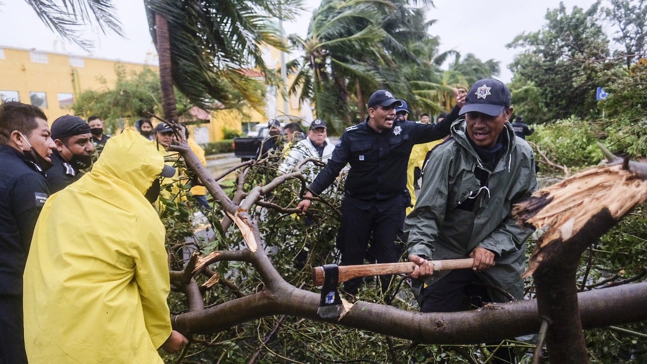 Feuerwehrleute entfernen einen von starkem Wind umgestürzten Baum in Cancun.