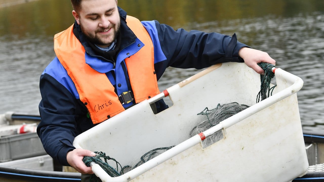 Der angehende Fischwirt Christopher Deimen trägt eine Netzwanne auf ein Boot an der Versetalsperre, einem Stausee nahe Lüdenscheid.