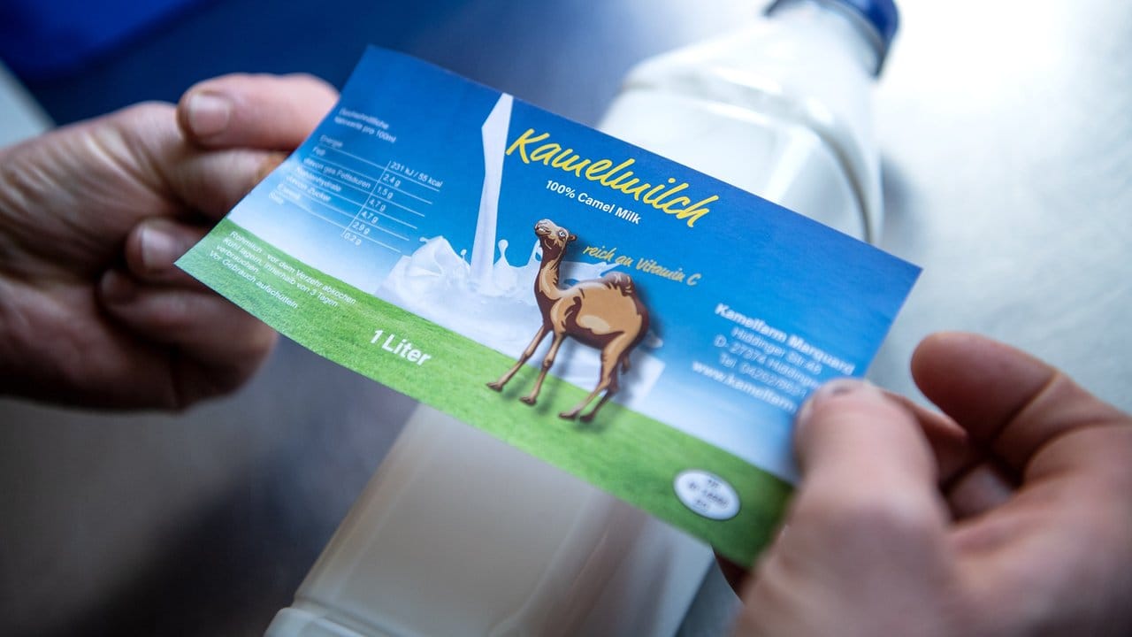 Familie Marquard betreibt eine Kamelfarm am Rande der Lüneburger Heide. Familie Marquard betreibt eine Kamelfarm am Rande der Lüneburger Heide.