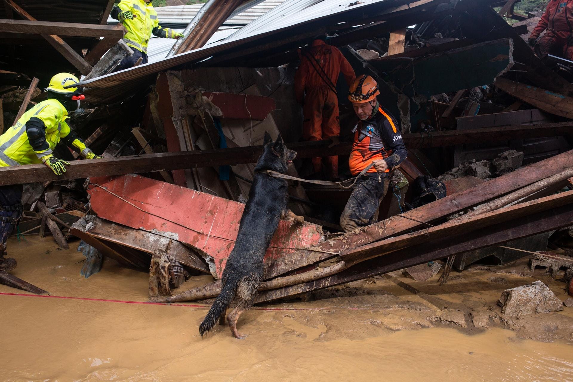 Queja, Guatemala: Rettungskräfte und Hunde suchen nach verschütteten Menschen. In dem mittelamerikanischen Land kamen durch den Sturm "Eta" mindestens 27 Menschen ums Leben.