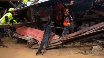 Queja, Guatemala: Rettungskräfte und Hunde suchen nach verschütteten Menschen. In dem mittelamerikanischen Land kamen durch den Sturm "Eta" mindestens 27 Menschen ums Leben.